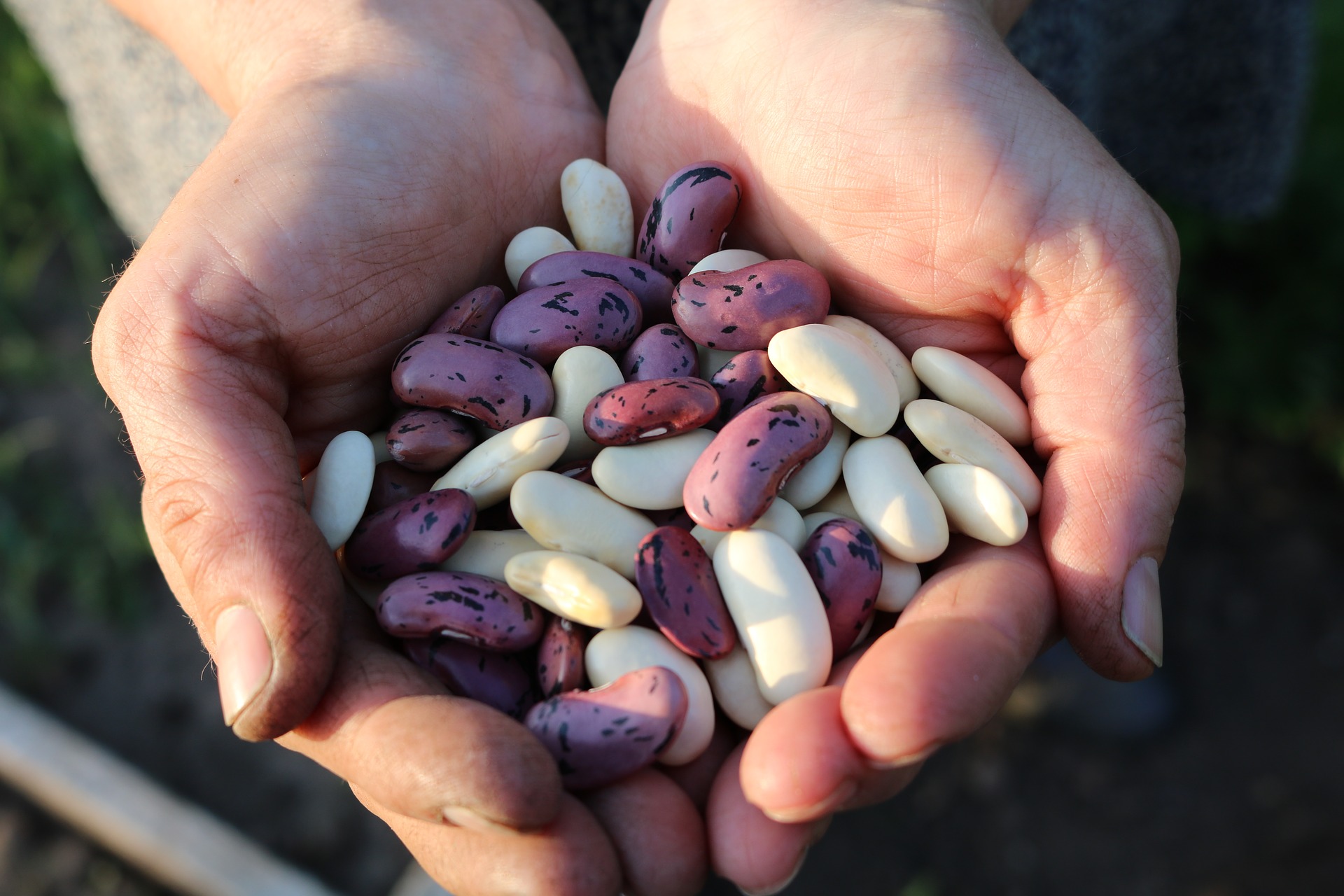 Beans with magnesium